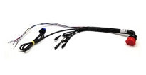 37 Pin Main Harness for MXL2/MXS/MXG